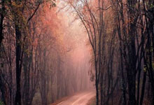 28圈:崔康熙:3比0的比分想要逆转不容易 丢球并不能算王大雷的失误.