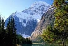 纪录刷到手软!德约科维奇411胜成为大师赛胜场数最多球员央视体育.